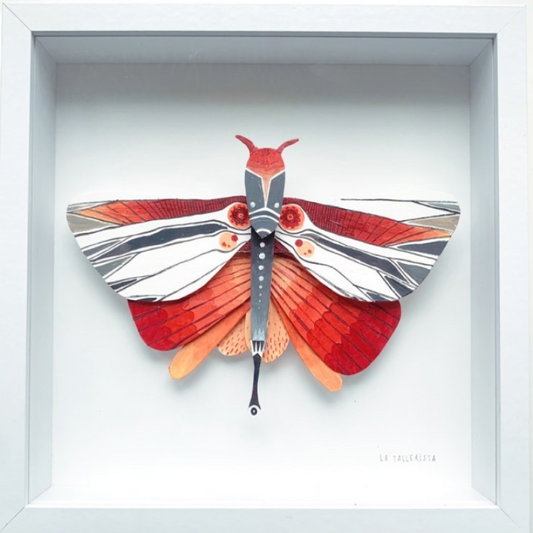 Lepidóptera roja